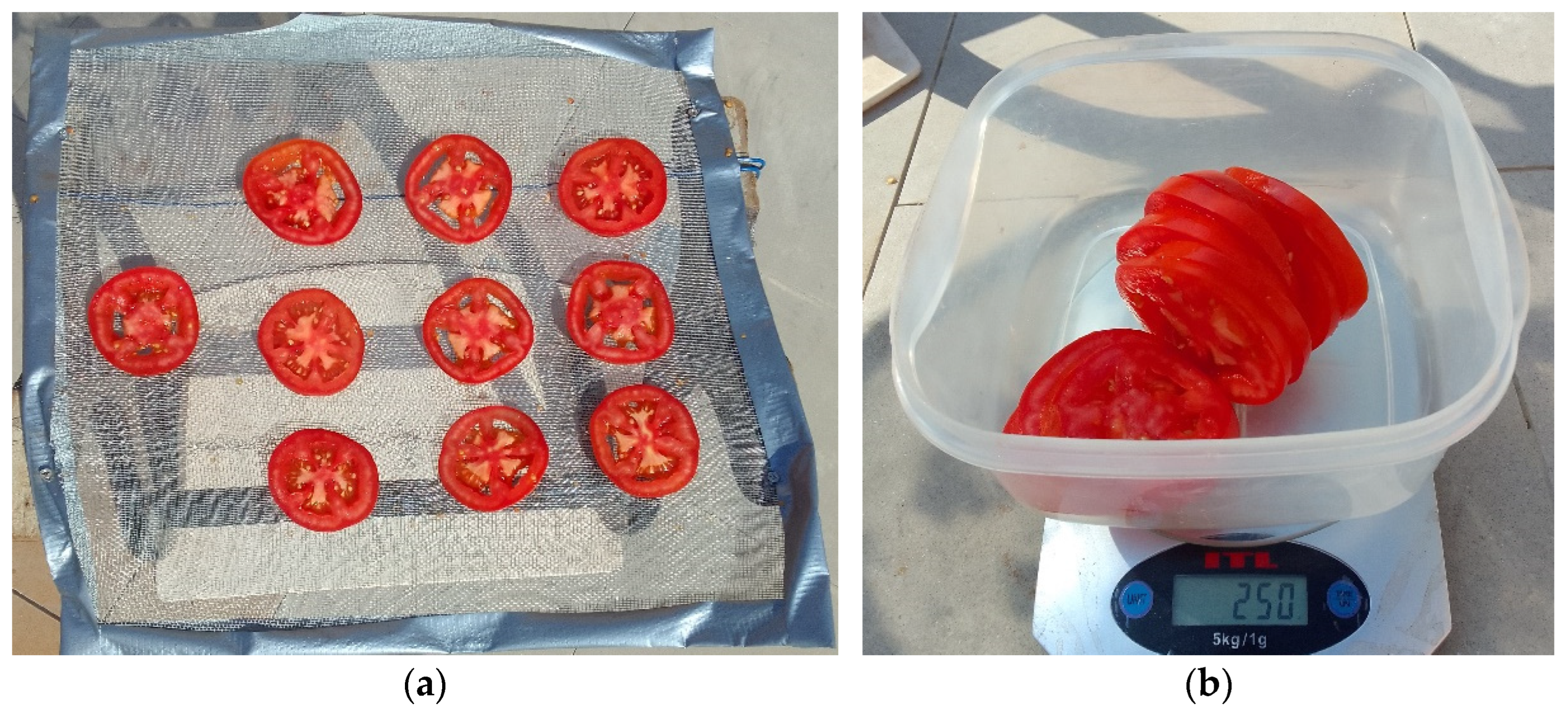 Sustainability 15 05070 g003