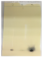 Sustainability 15 05188 i004