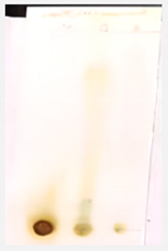 Sustainability 15 05188 i005