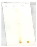 Sustainability 15 05188 i006