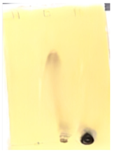 Sustainability 15 05188 i008