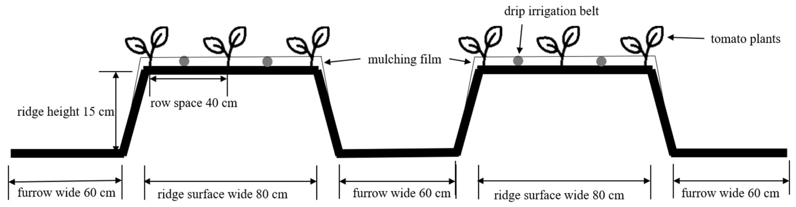 Sustainability 15 05220 g001