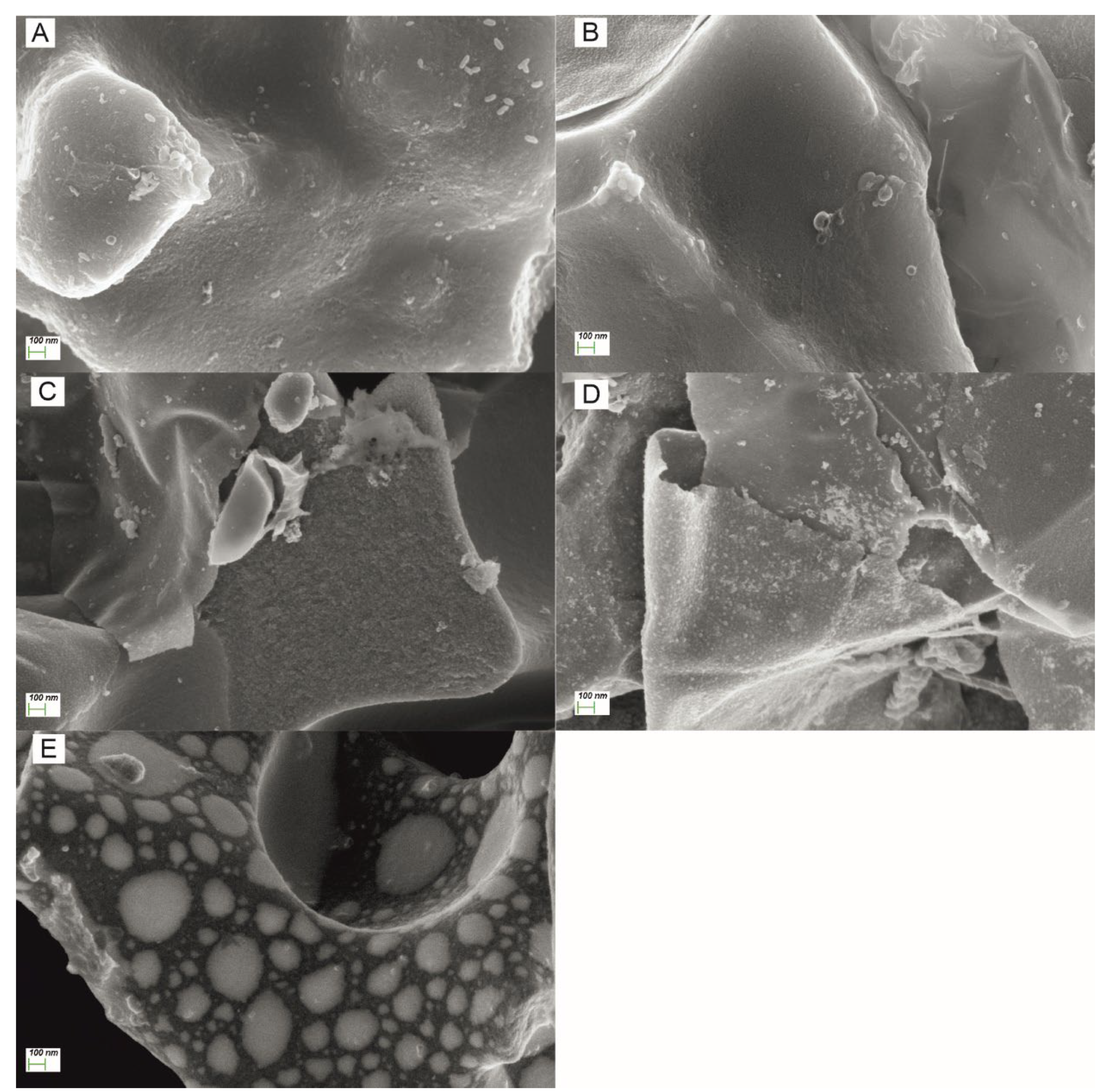 Sustainability 15 05317 g005