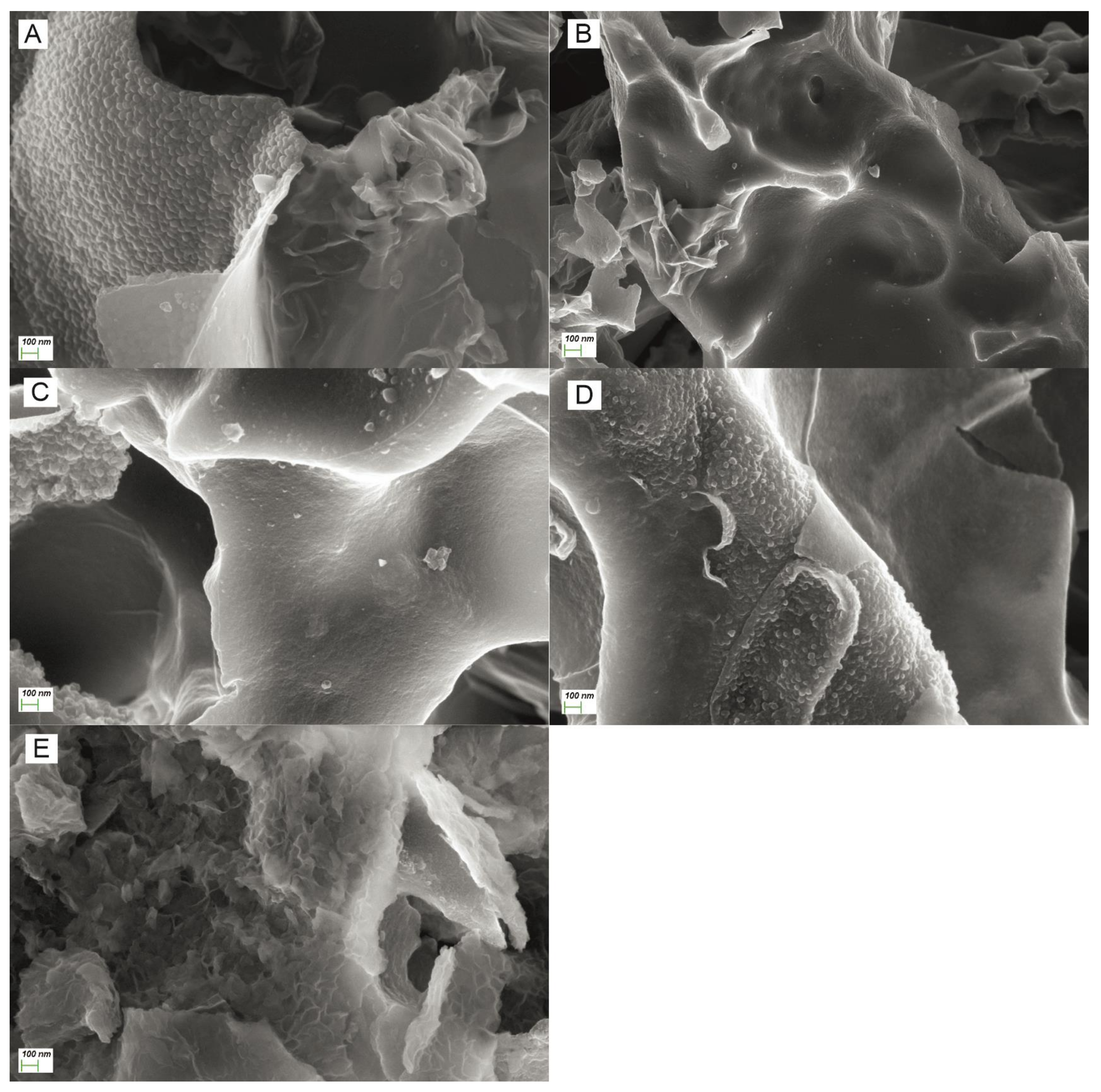 Sustainability 15 05317 g006