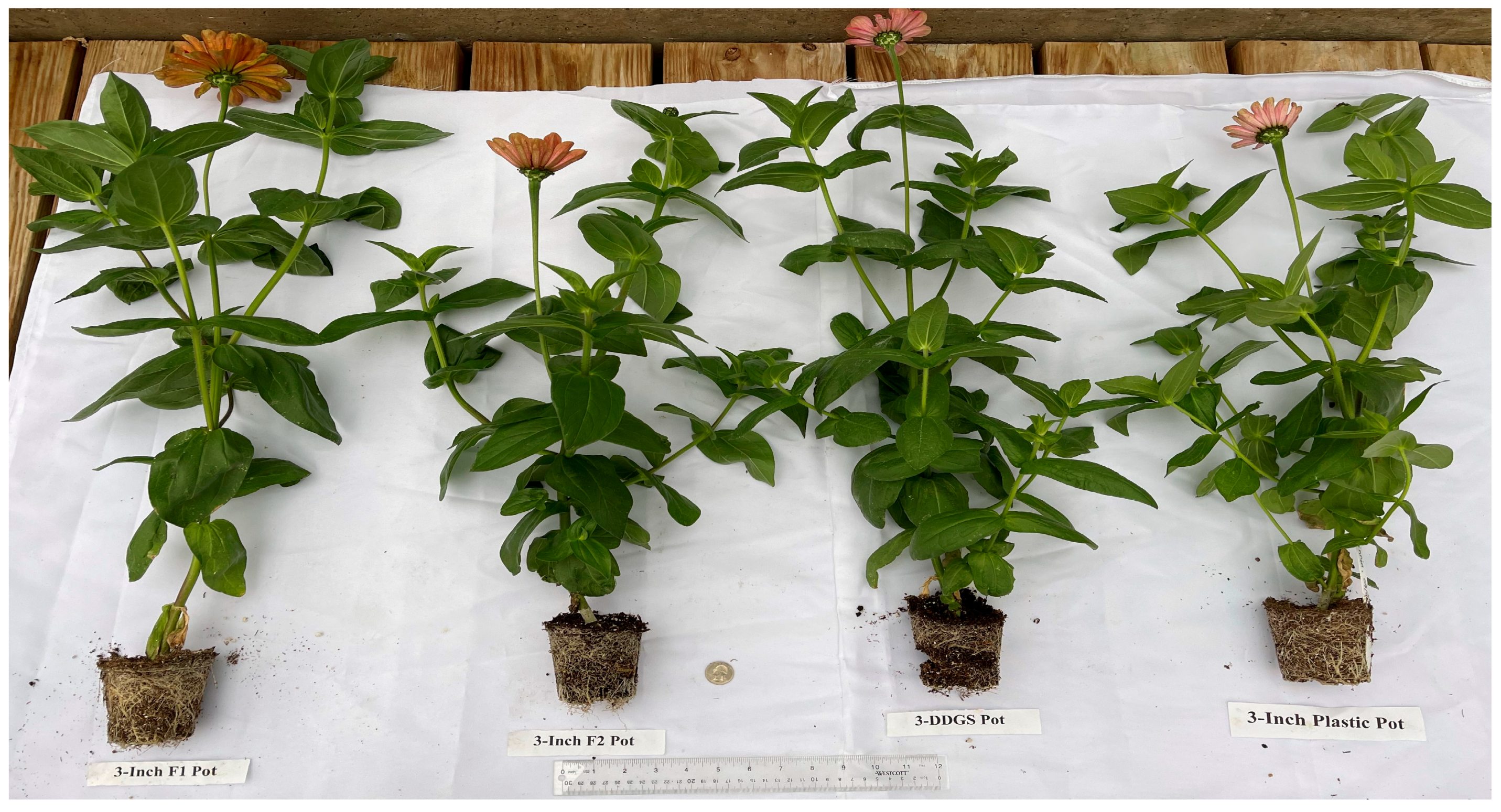 Sustainability 15 05373 g007