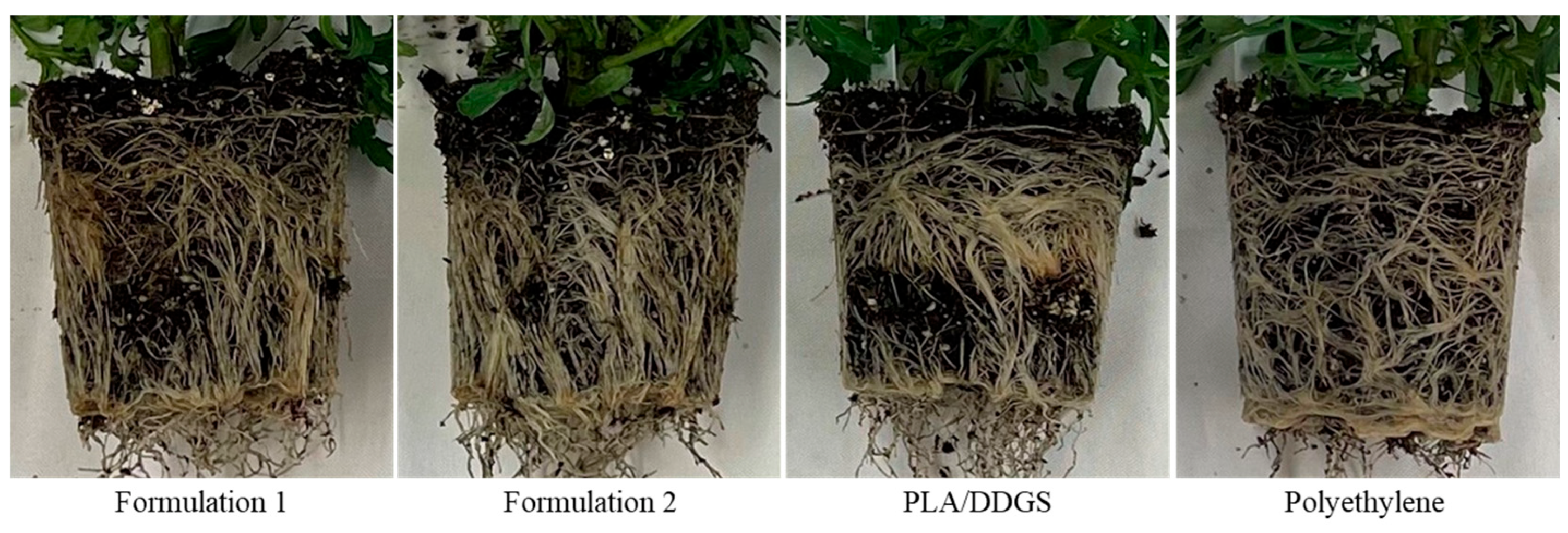 Sustainability 15 05373 g013