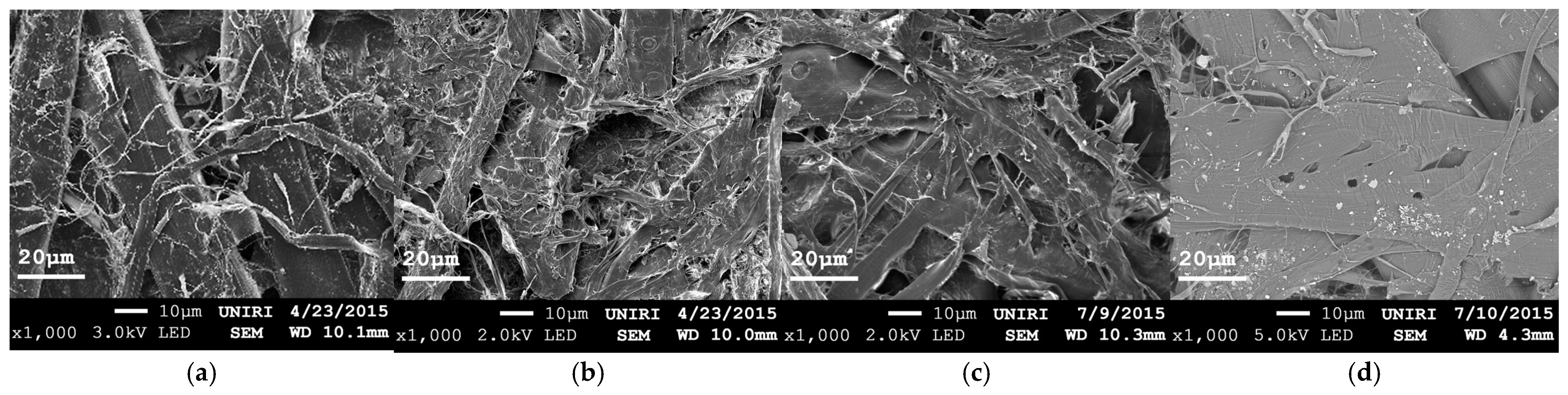 Sustainability 15 05378 g002