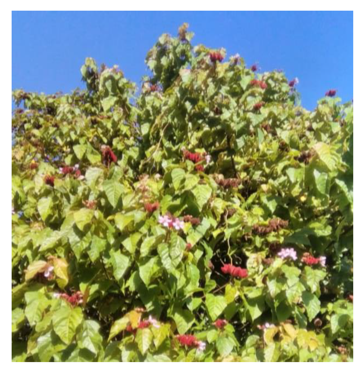 Sustainability 15 05383 g011 Sustainability 15 05383 g011