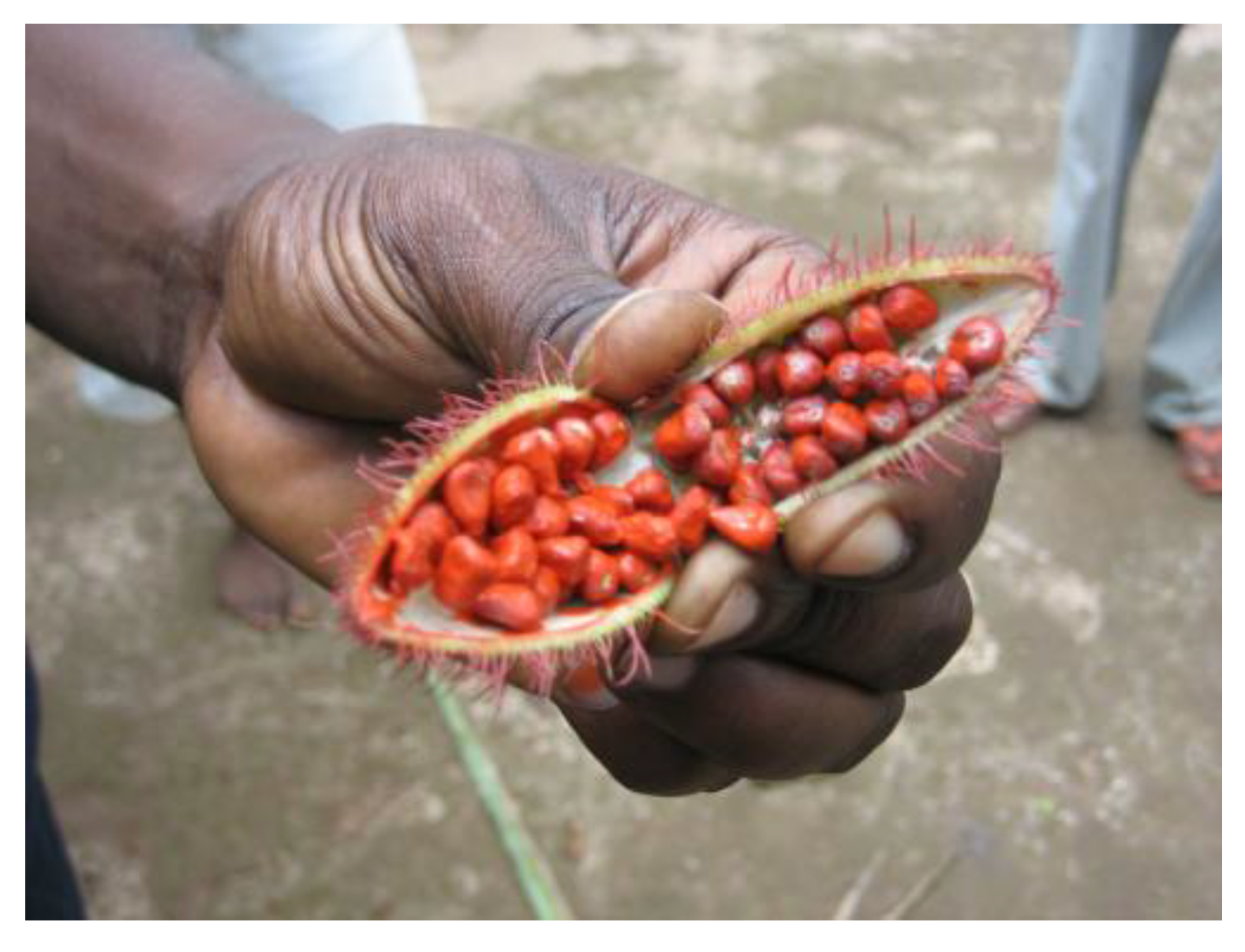 Sustainability 15 05383 g012 Sustainability 15 05383 g012