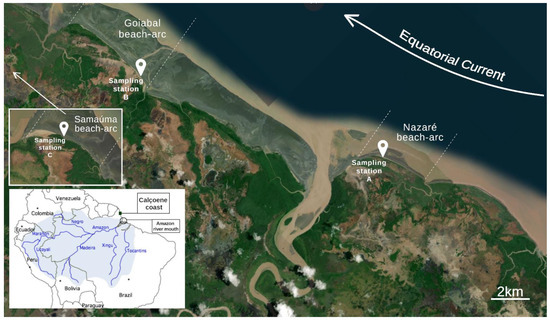 Sustainability 15 05417 g001