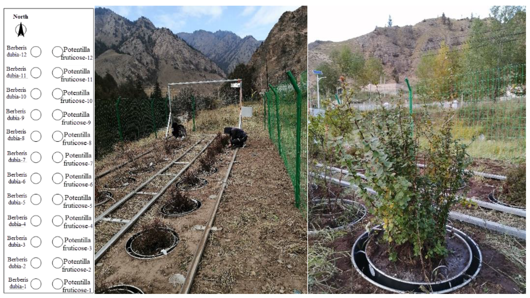 Sustainability 15 05422 g003