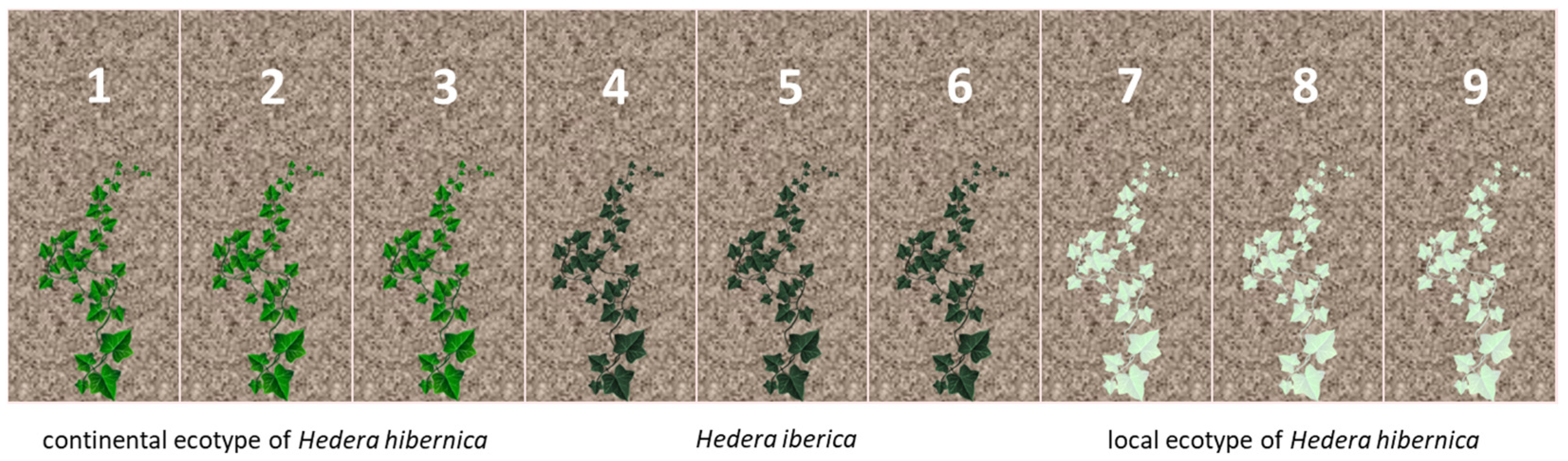 Sustainability 15 05446 g003