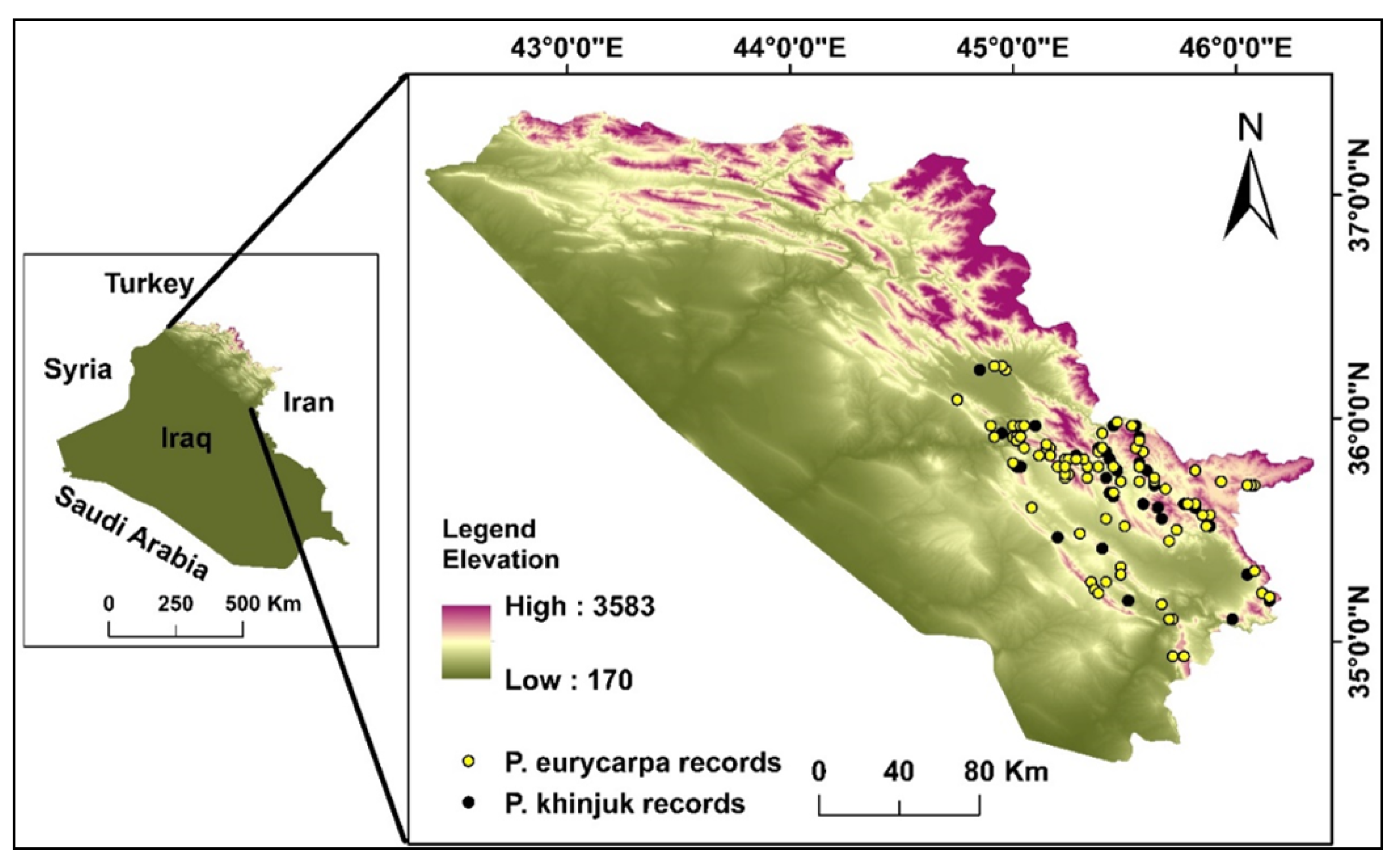 Sustainability 15 05469 g001