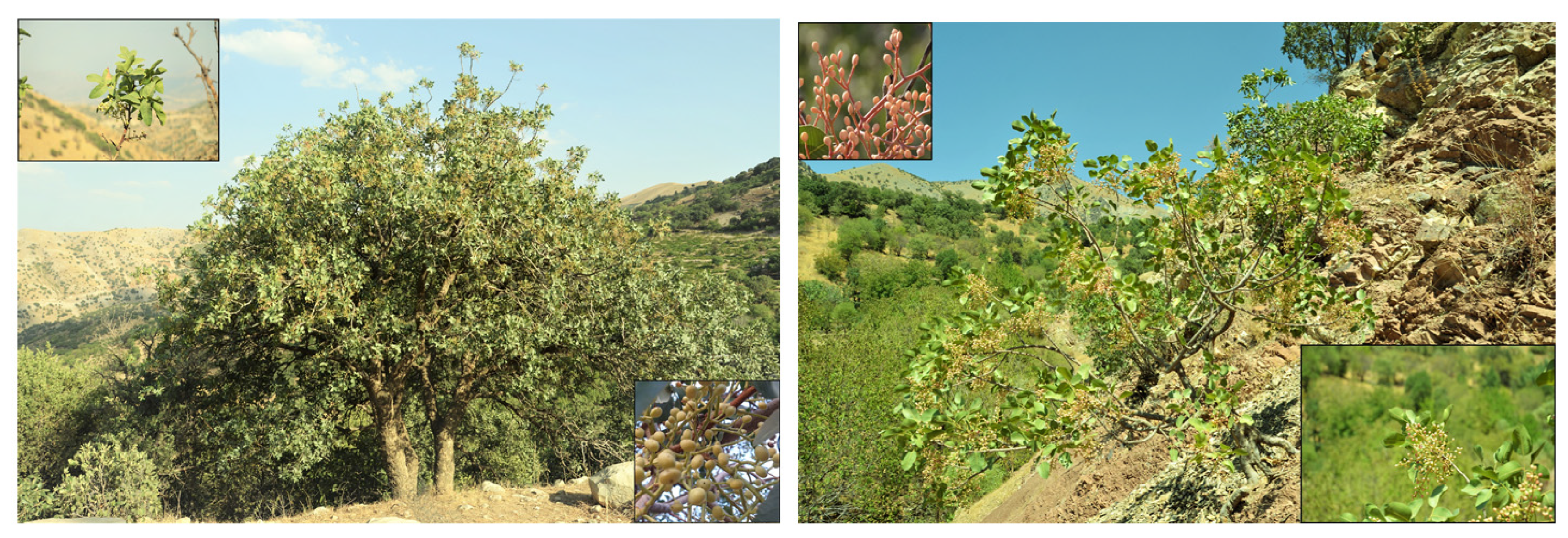 Sustainability 15 05469 g002