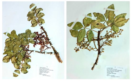 Sustainability 15 05469 g0a1