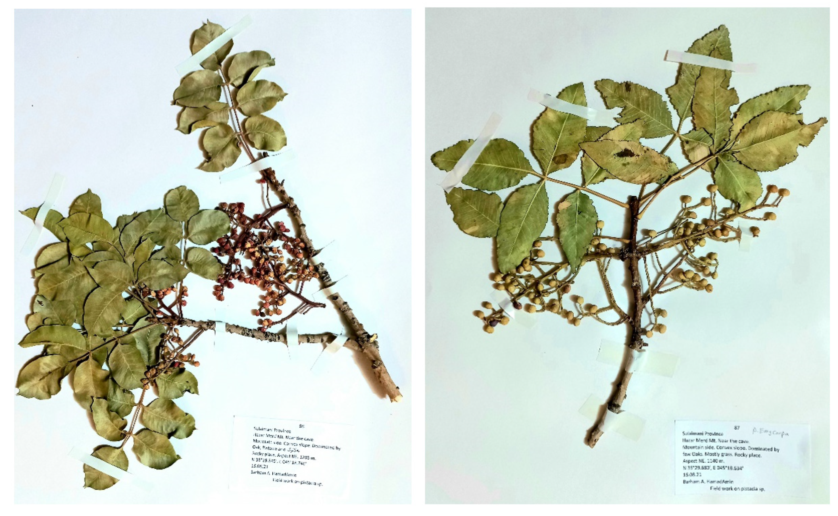 Sustainability 15 05469 g0a1