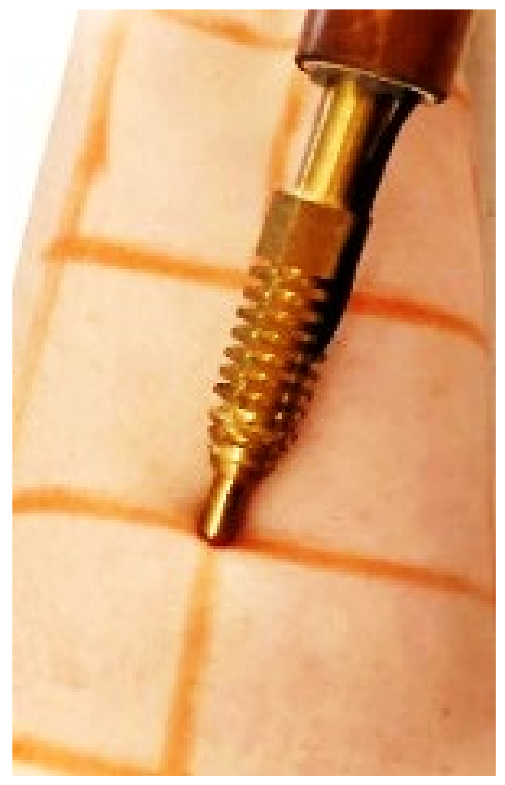 Sustainability 15 05534 g001