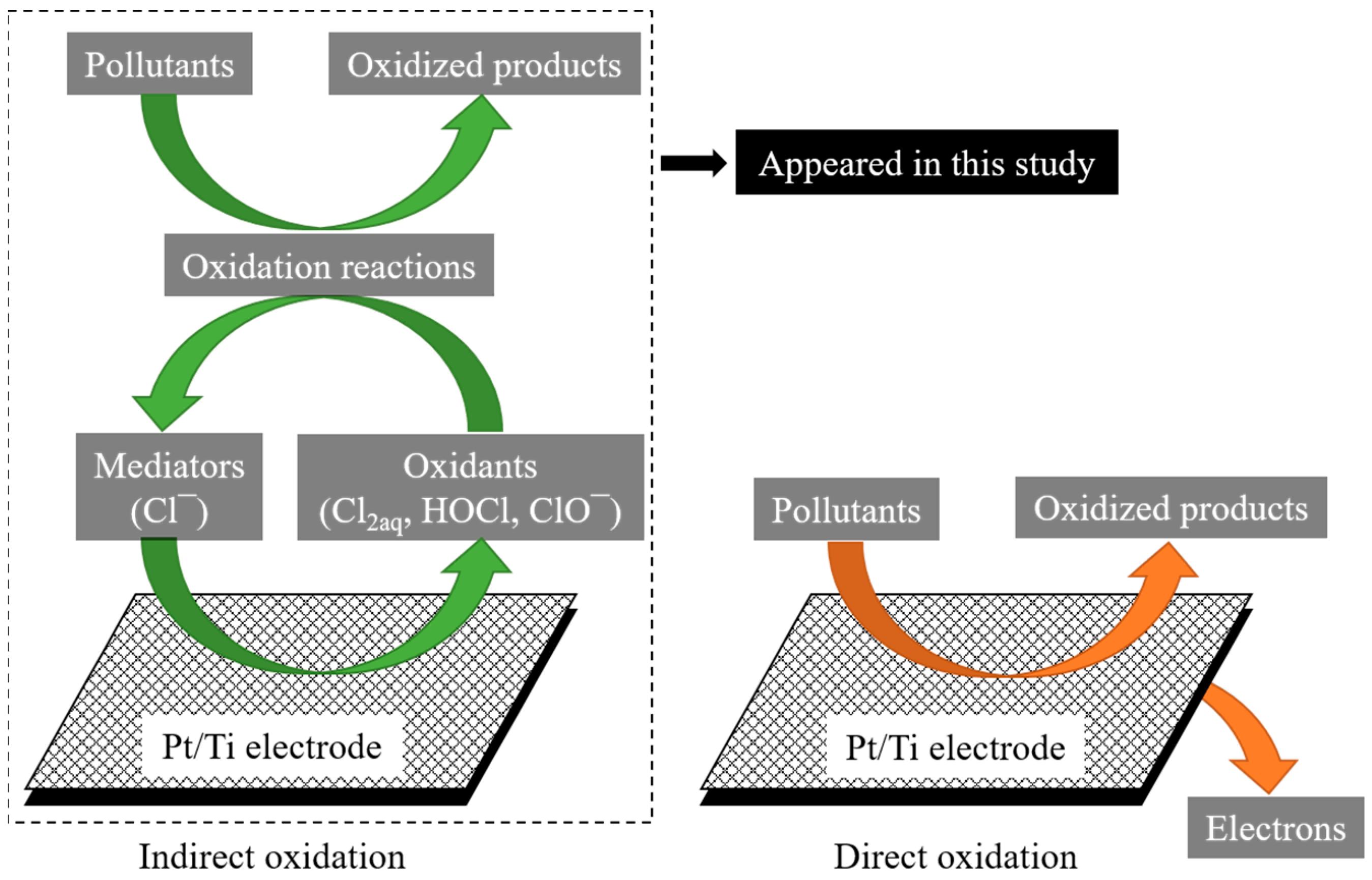 Sustainability 15 05551 g003