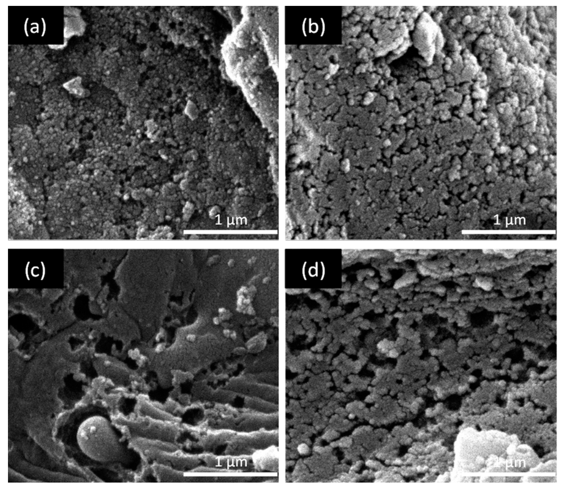 Sustainability 15 05566 g002