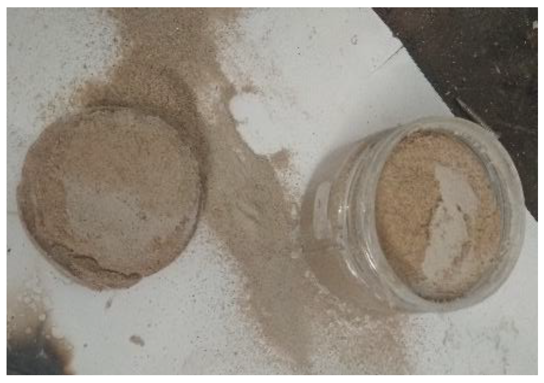 Sustainability 15 05567 g006