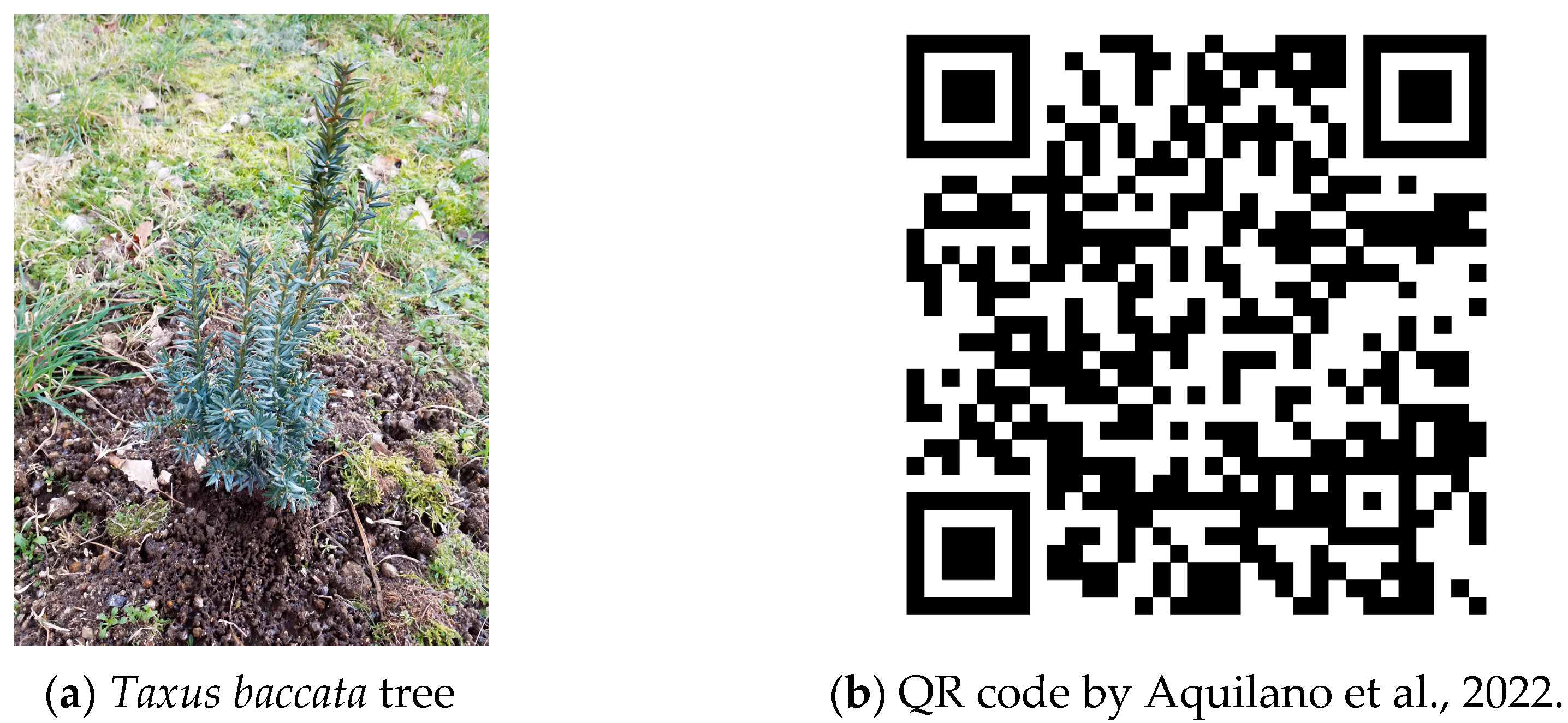 Sustainability 15 05616 g004 Sustainability 15 05616 g004