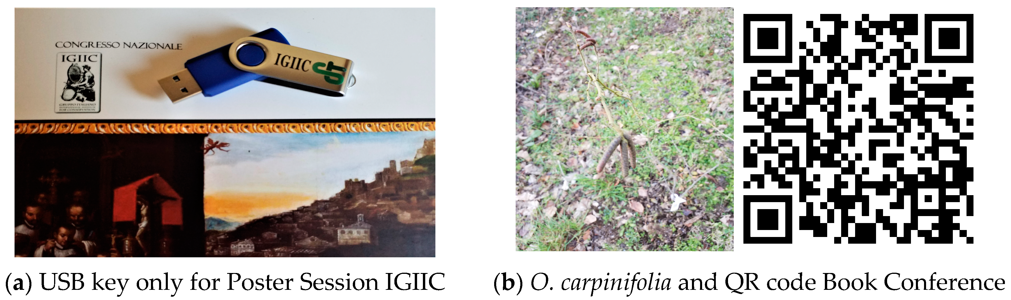 Sustainability 15 05616 g005 Sustainability 15 05616 g005