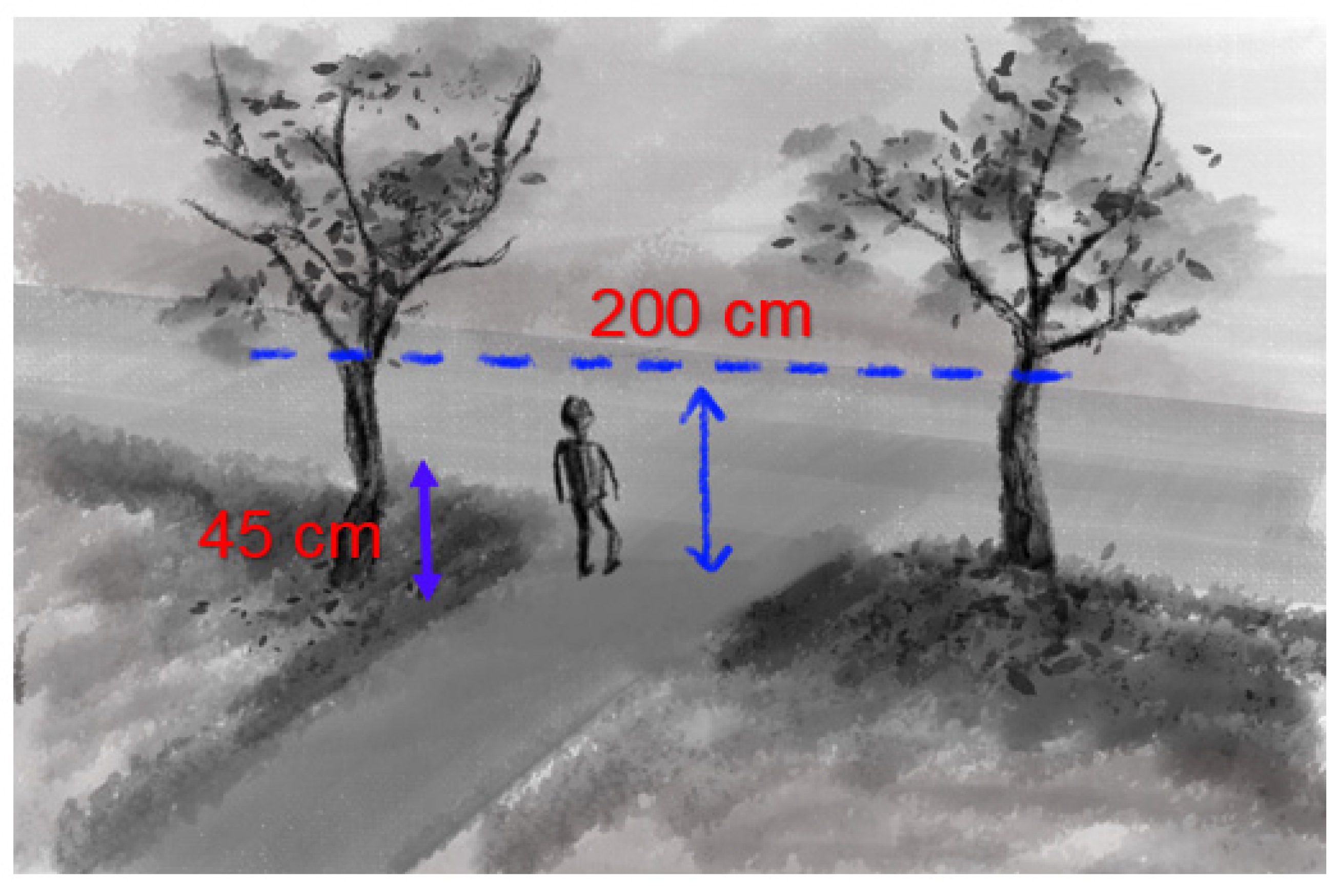 Sustainability 15 05627 g017