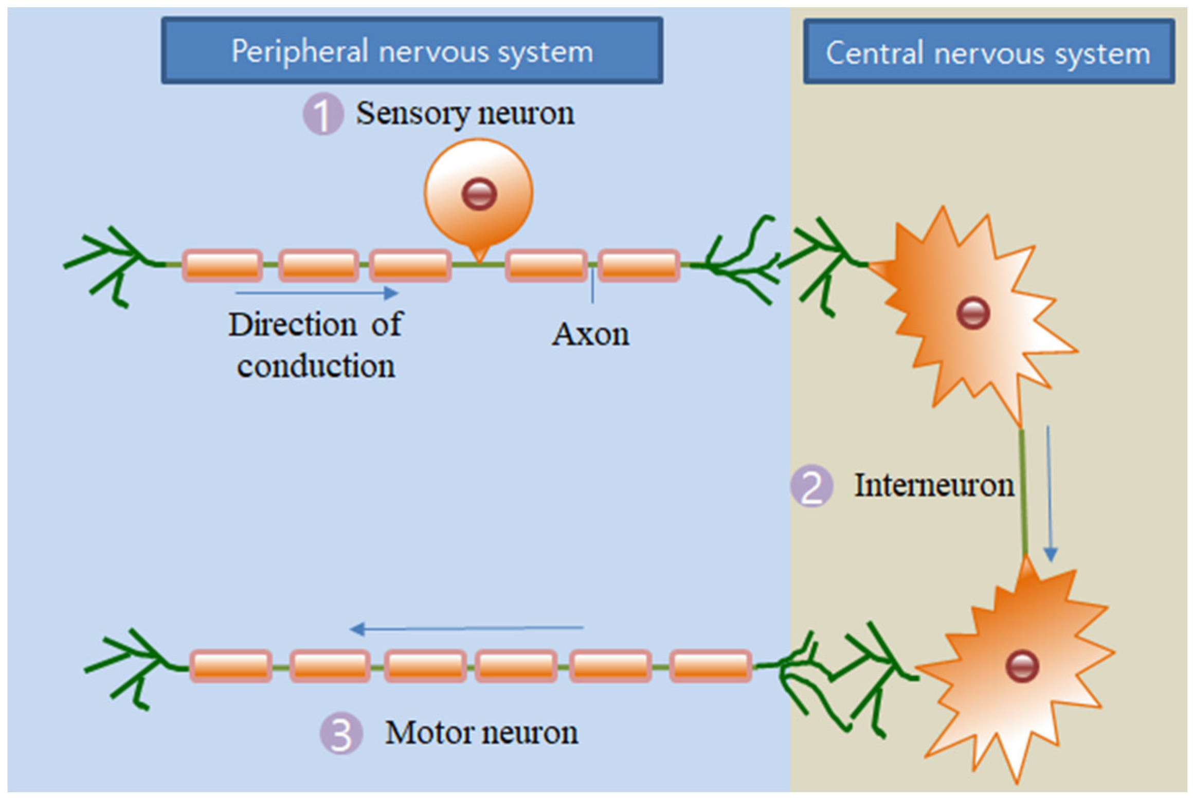 Sustainability 15 05632 g004