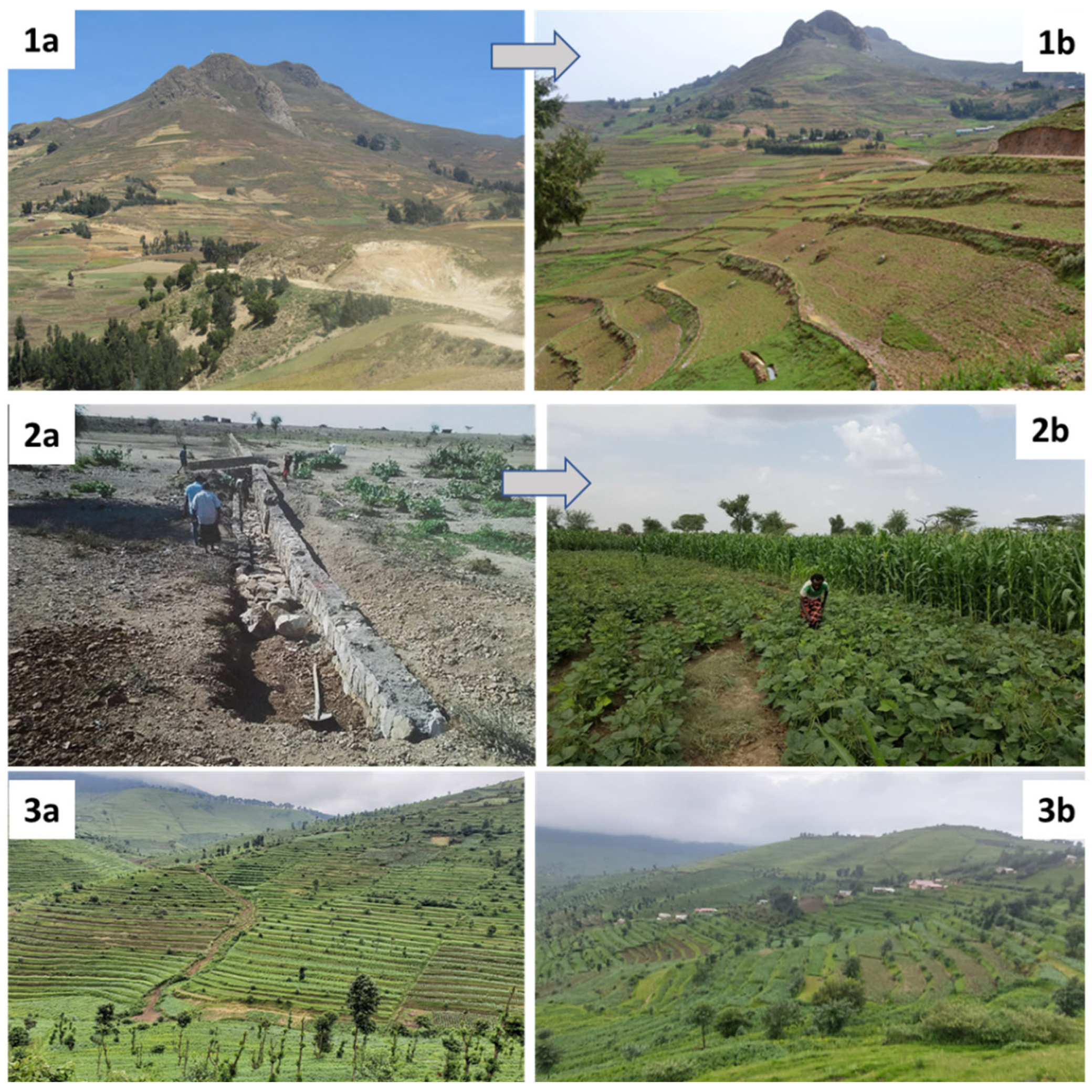 Sustainable Farming in Practice: Building Resilient and Profitable ...