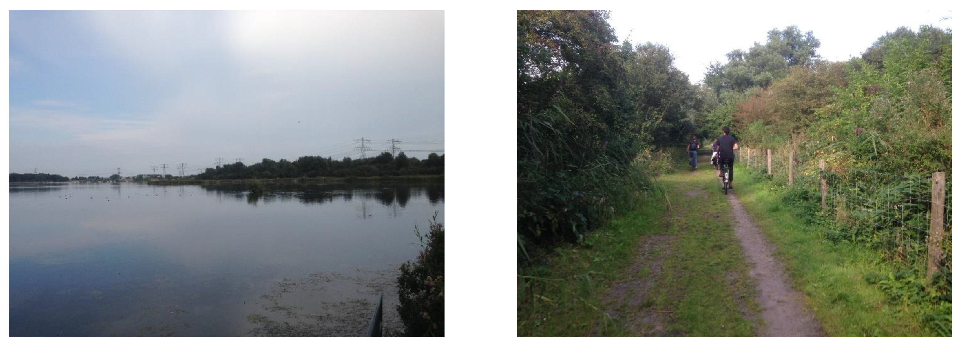 Sustainability 15 05876 g004