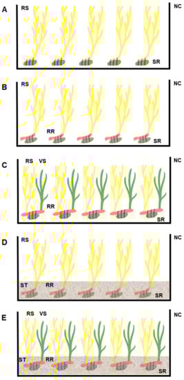 Sustainability 15 05904 g002
