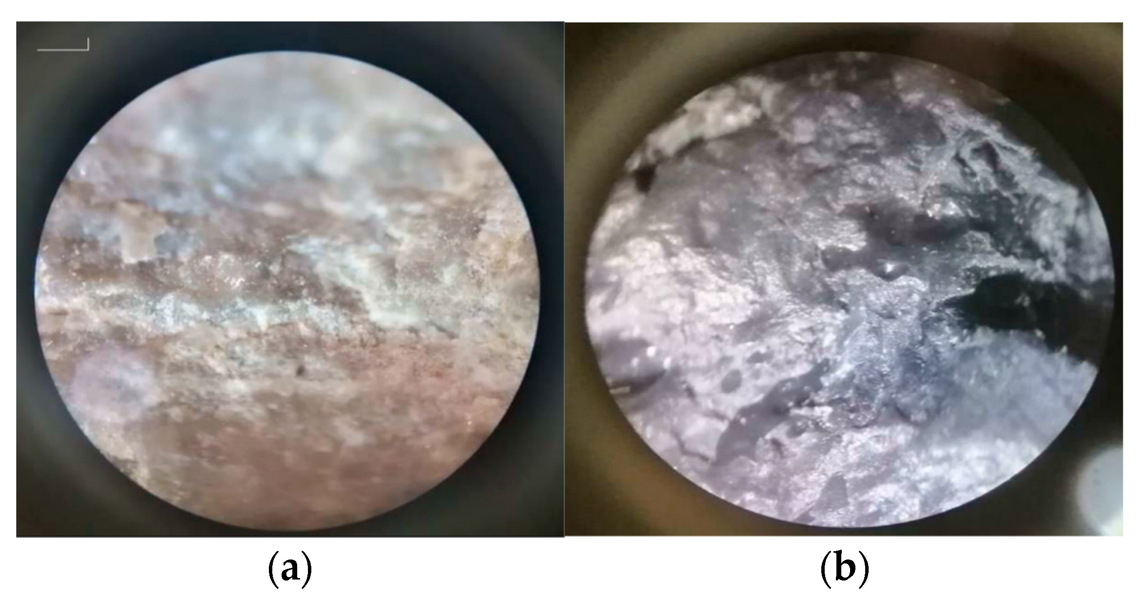 Sustainability 15 05937 g015