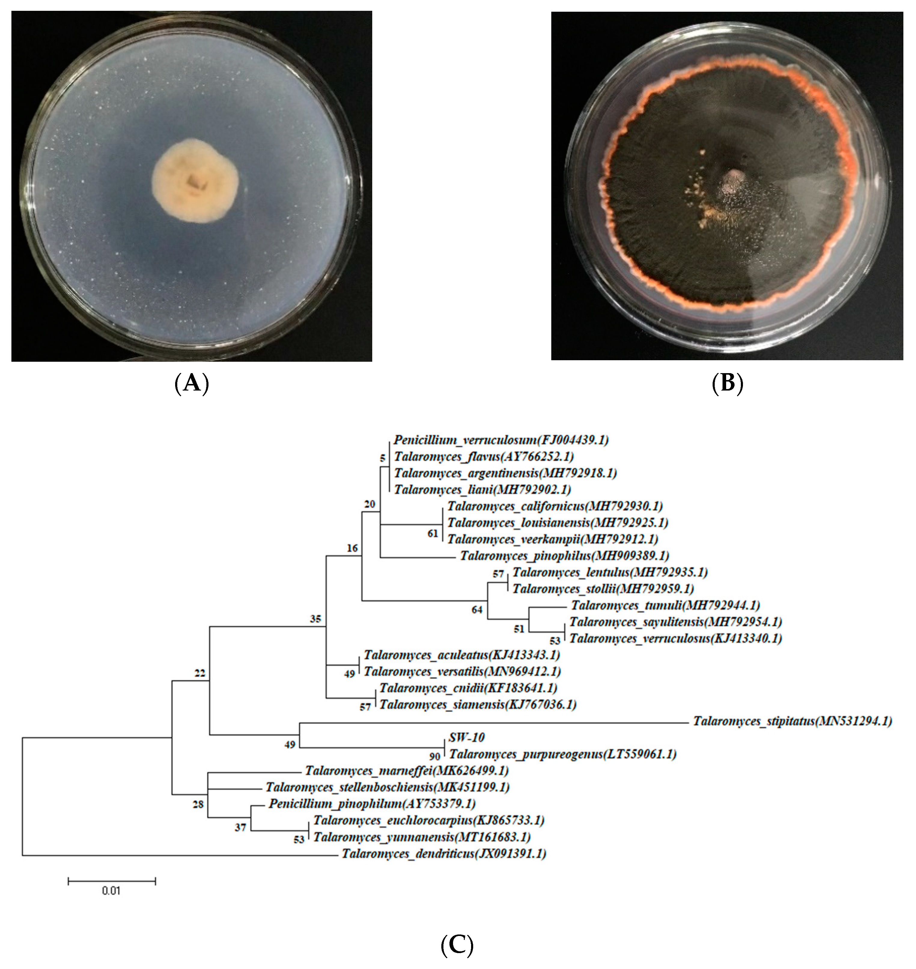 Sustainability 15 05961 g001