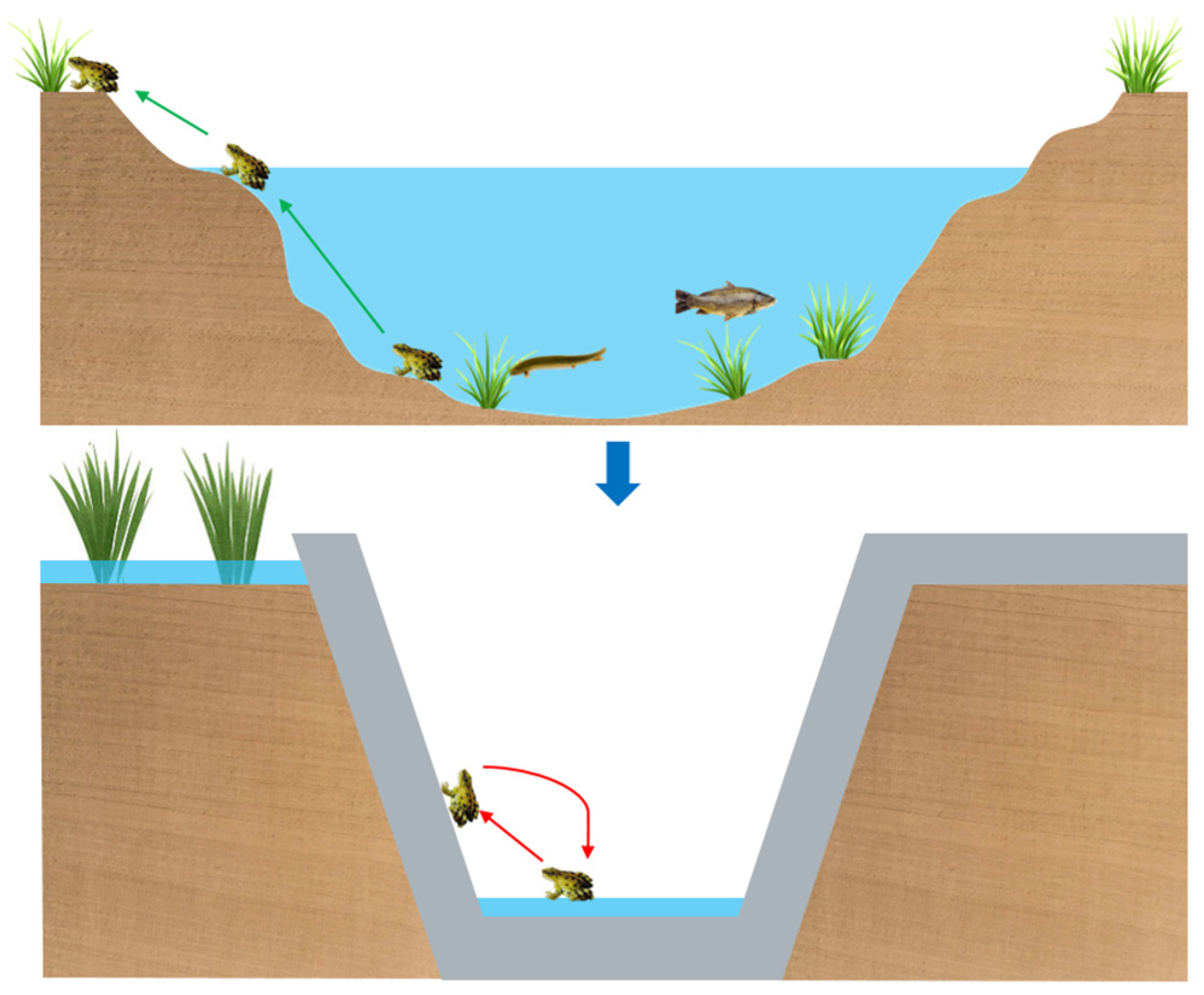 Sustainability 15 06029 g002