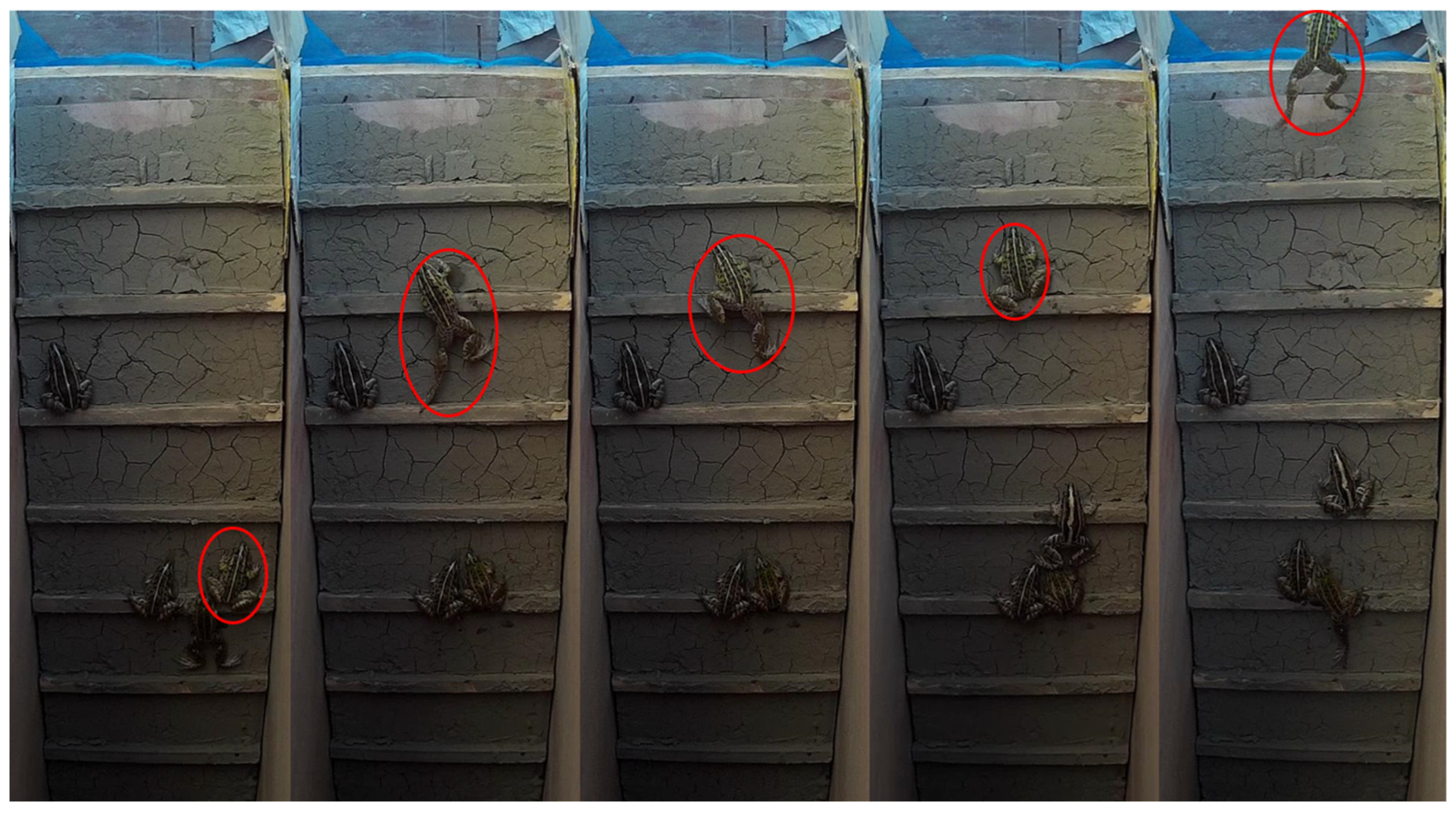 Sustainability 15 06029 g003