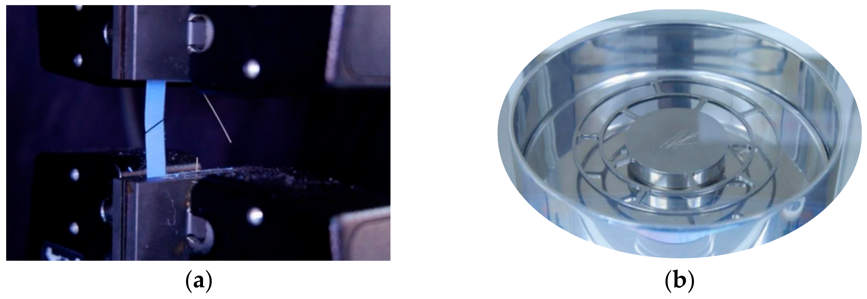 Sustainability 15 06037 g006