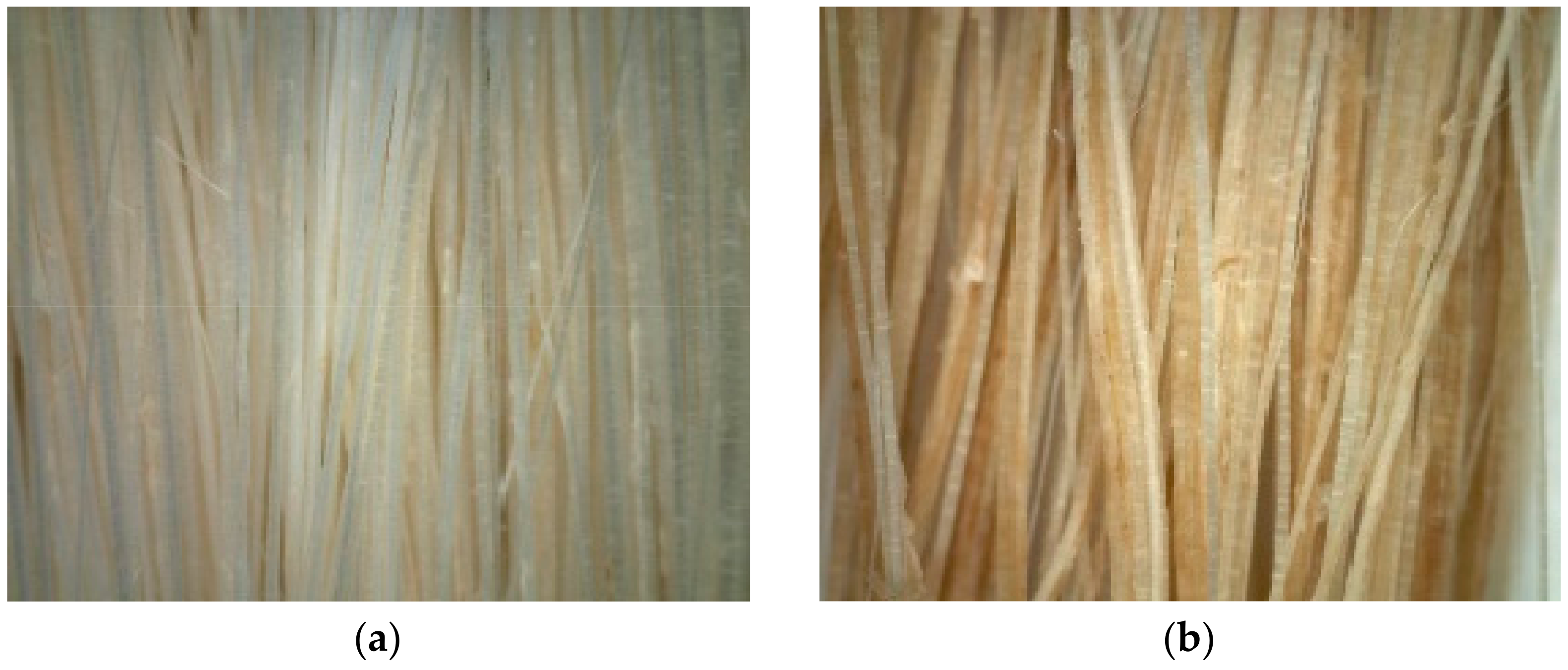 Sustainability 15 06037 g009