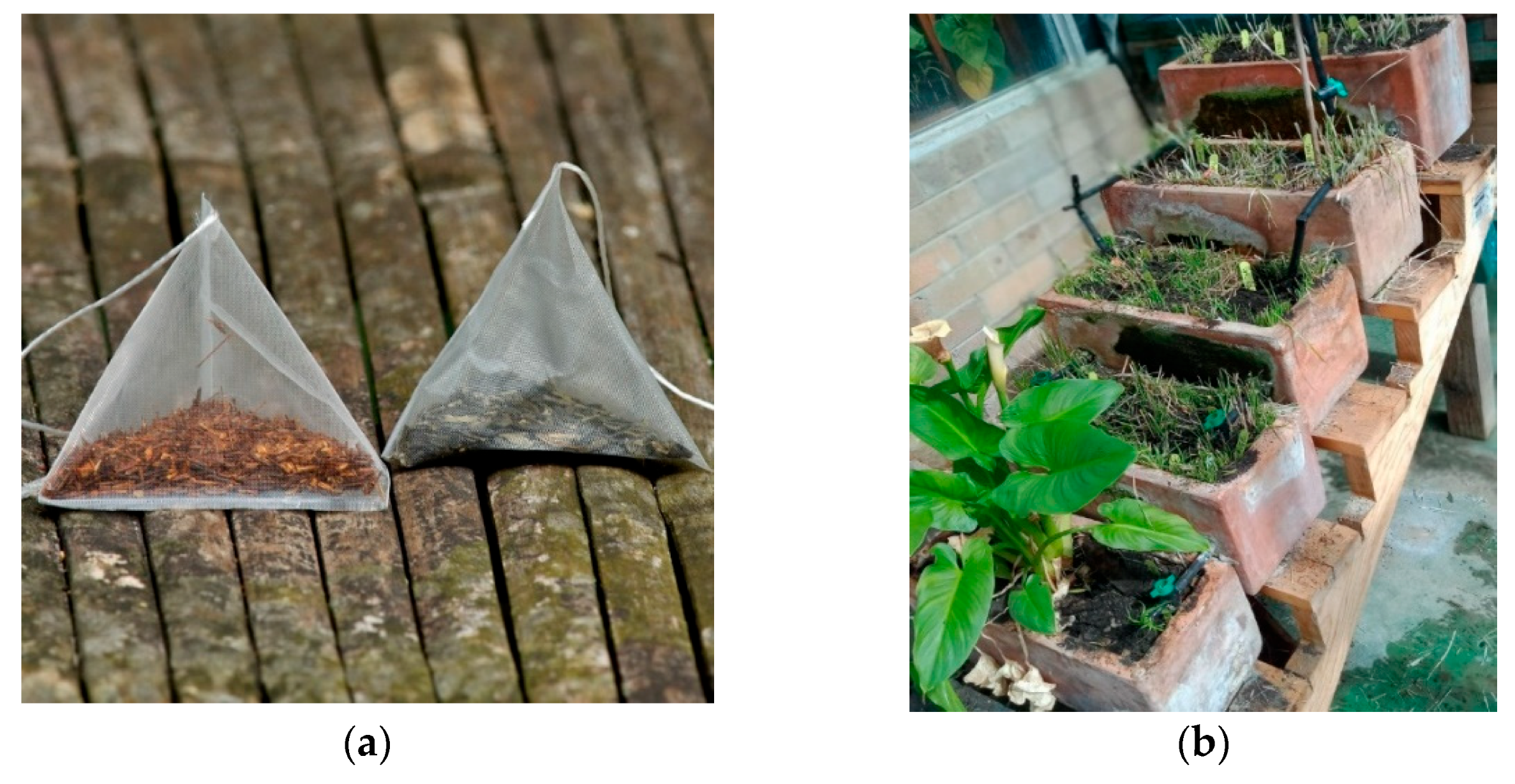 Sustainability 15 06102 g005