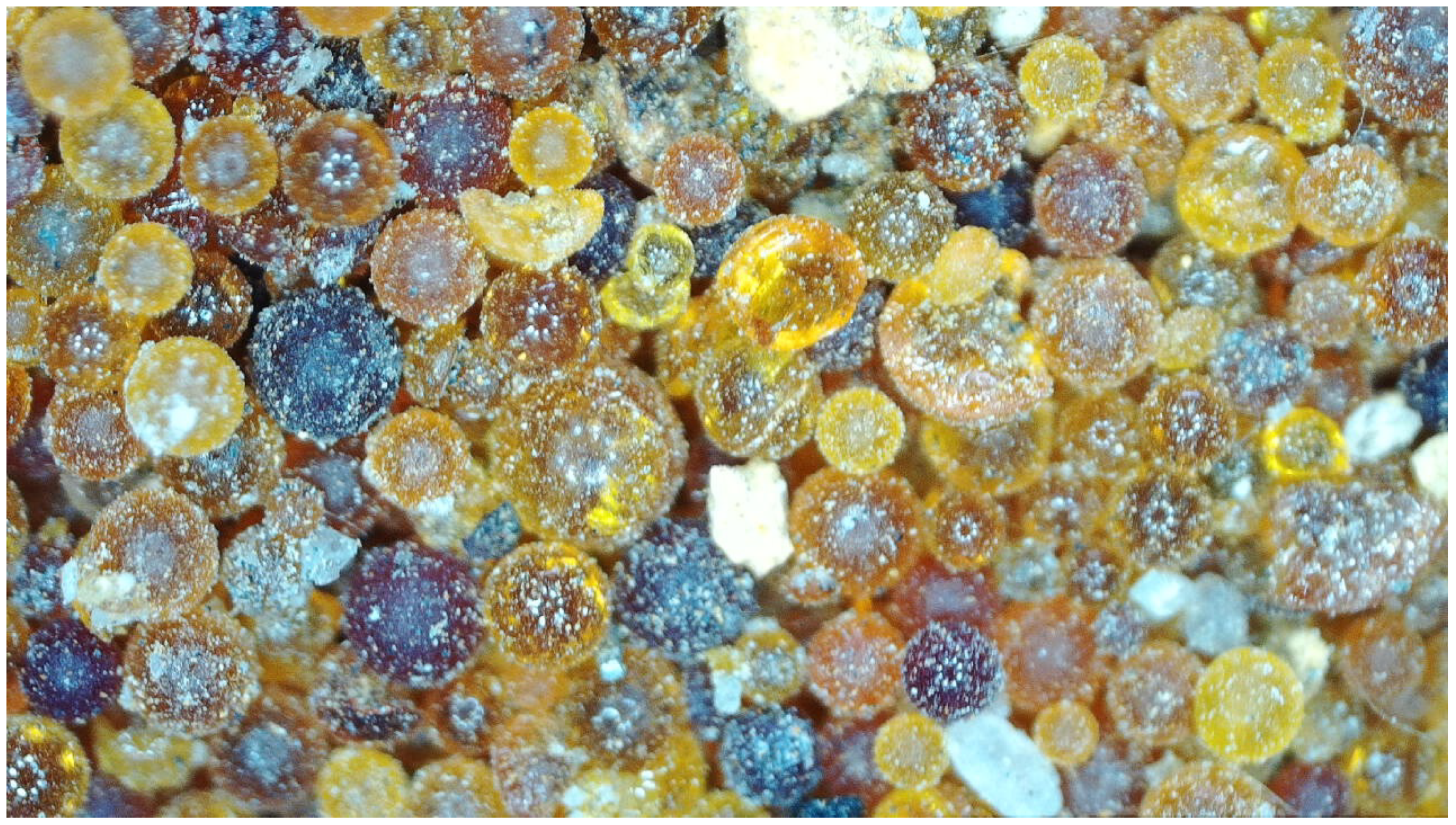 Sustainability 15 06178 g003