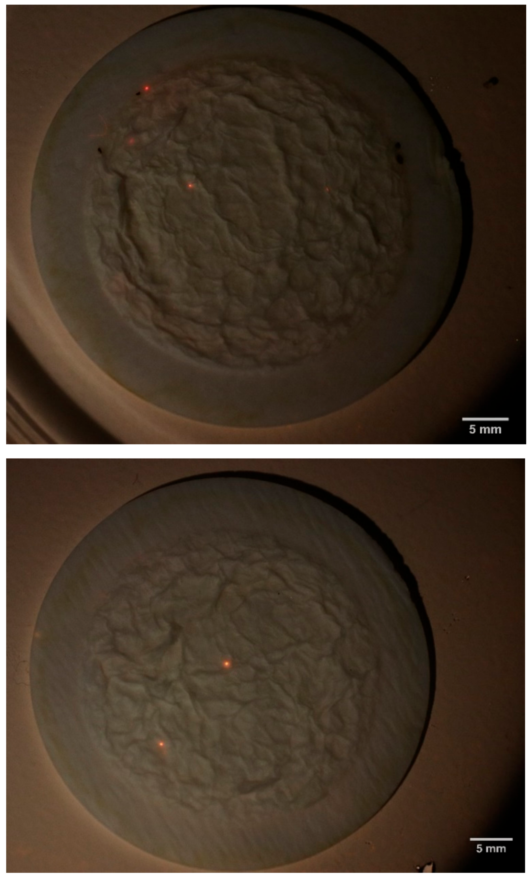 Sustainability 15 06186 g005a