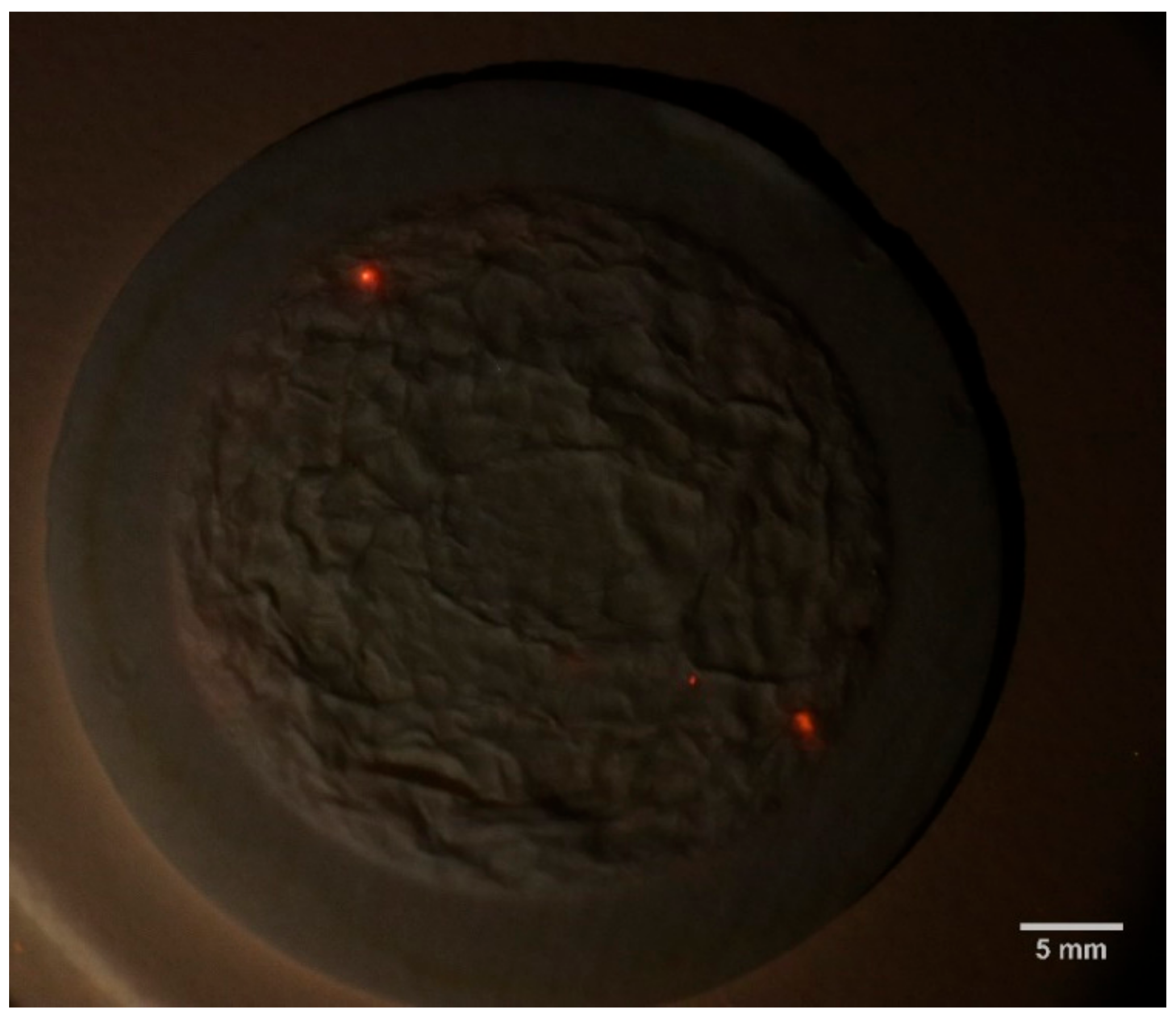 Sustainability 15 06186 g005b