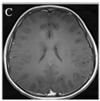 Sustainability 15 06189 i002