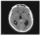 Sustainability 15 06189 i004