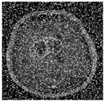 Sustainability 15 06189 i011