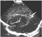 Sustainability 15 06189 i019