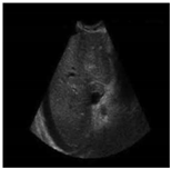 Sustainability 15 06189 i021