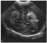 Sustainability 15 06189 i022