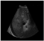 Sustainability 15 06189 i024