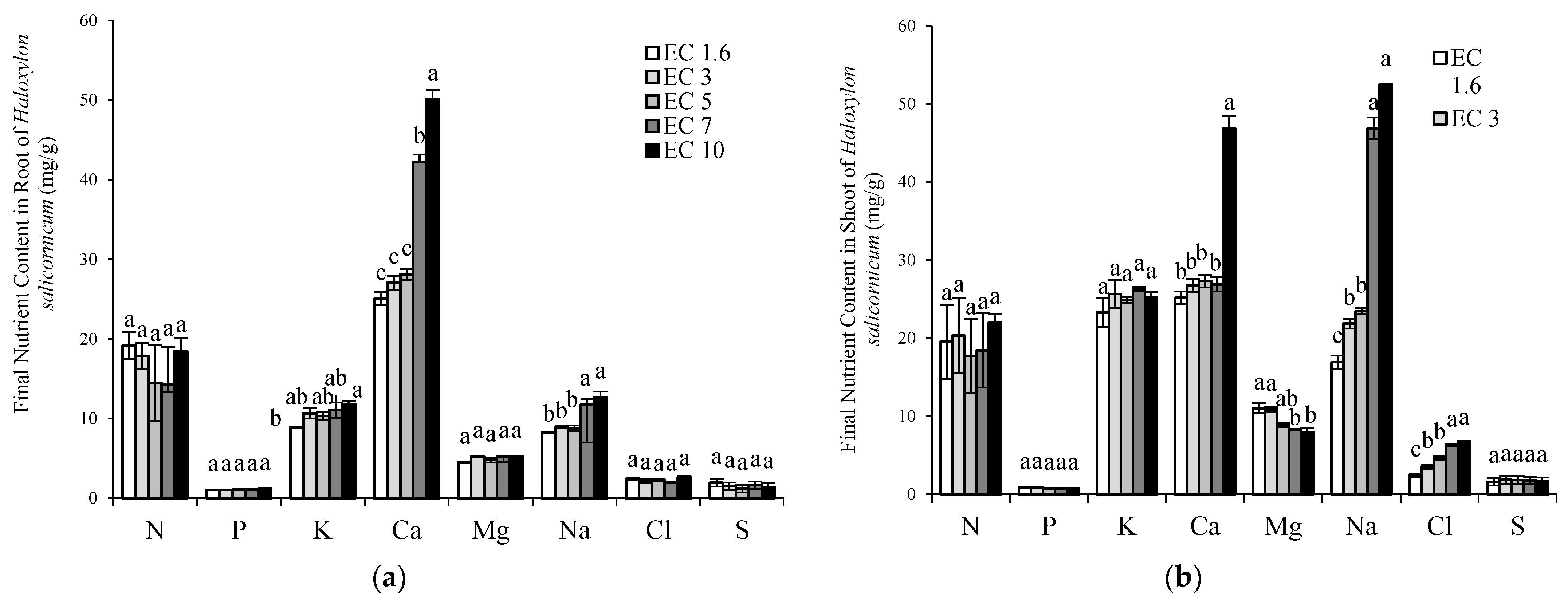 Sustainability 15 06232 g013 Sustainability 15 06232 g013