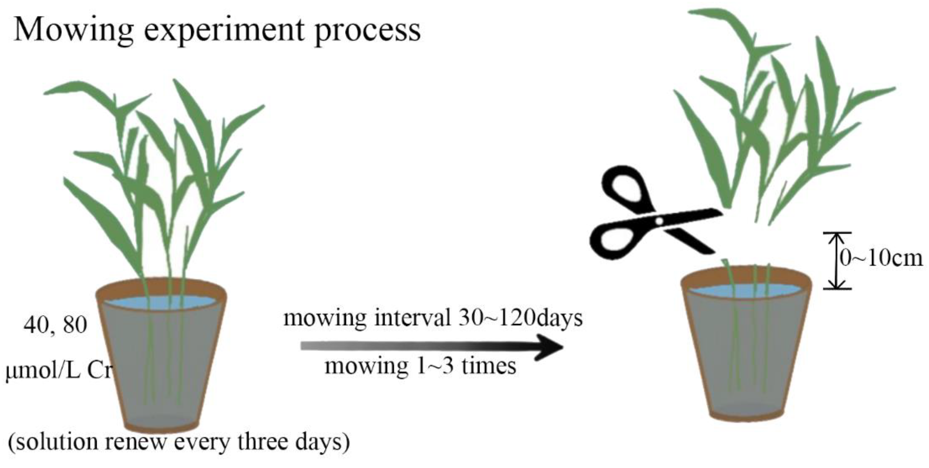 Sustainability 15 06244 g001 Sustainability 15 06244 g001